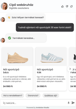 virtualis-asszisztens-cipo-webaruhaz